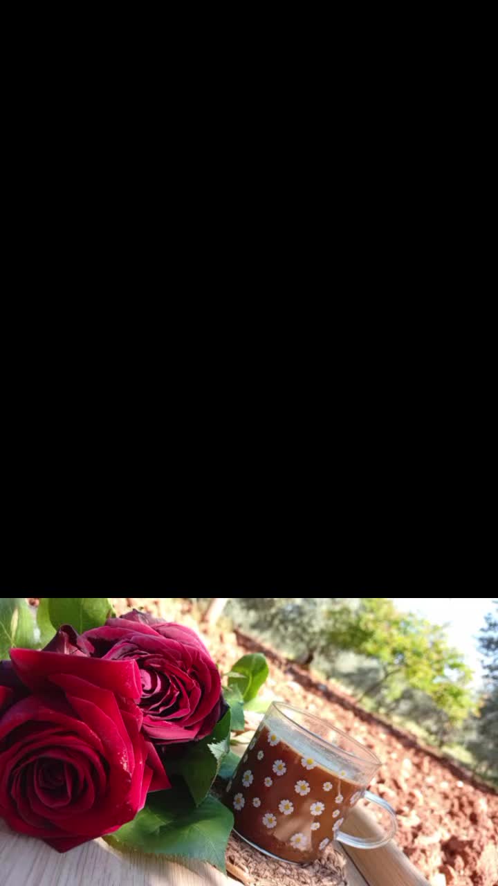 @أثًر  ادلبـﮧَِ💚ۦـية