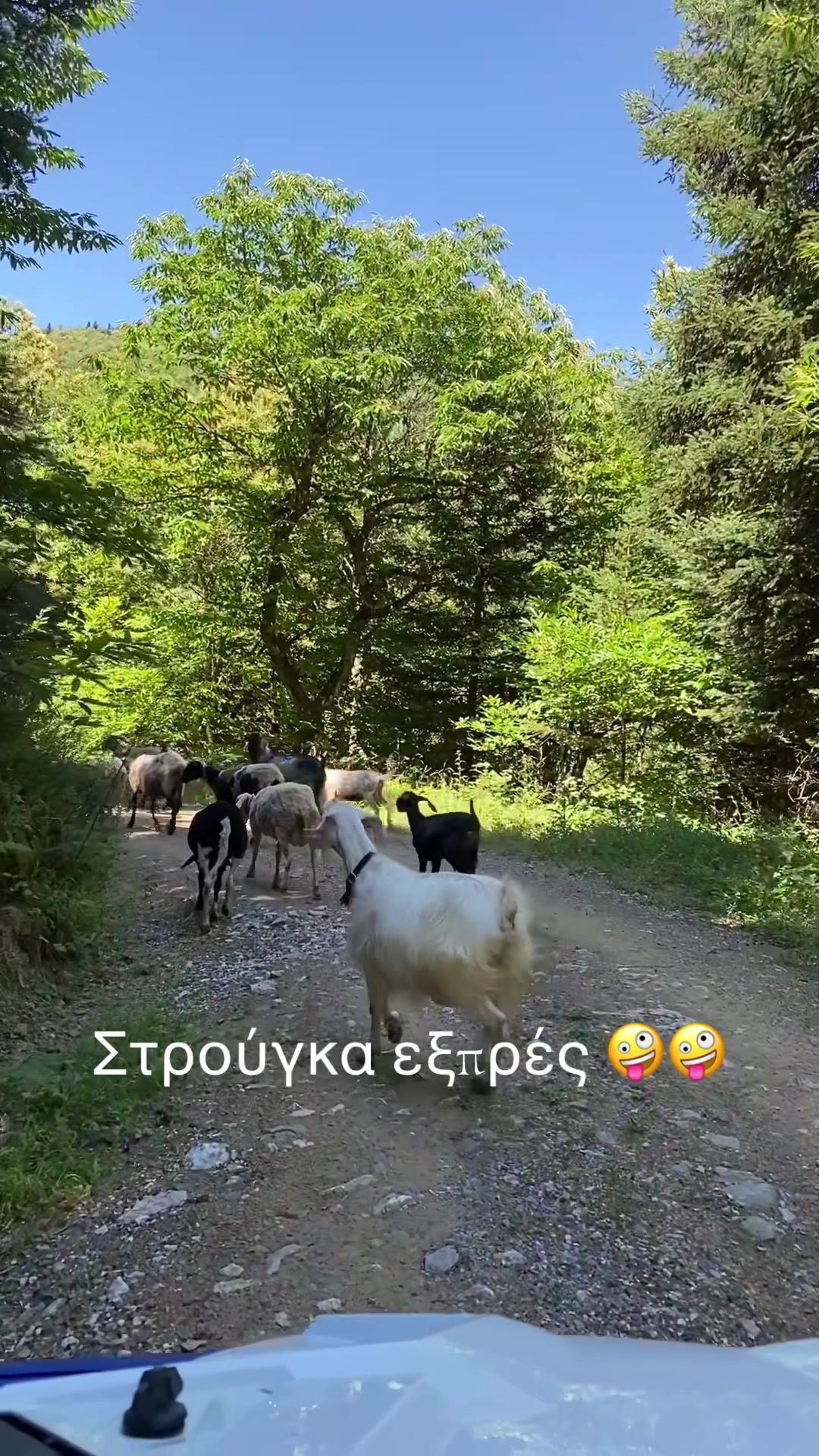 @offroadtours Καρπενήσι