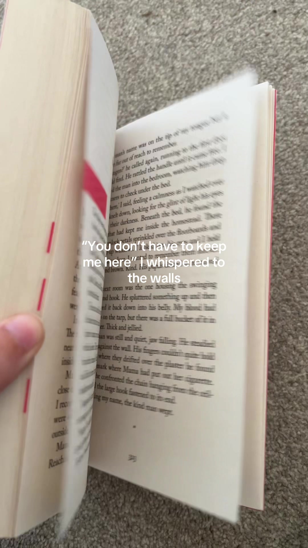 @📚🪩