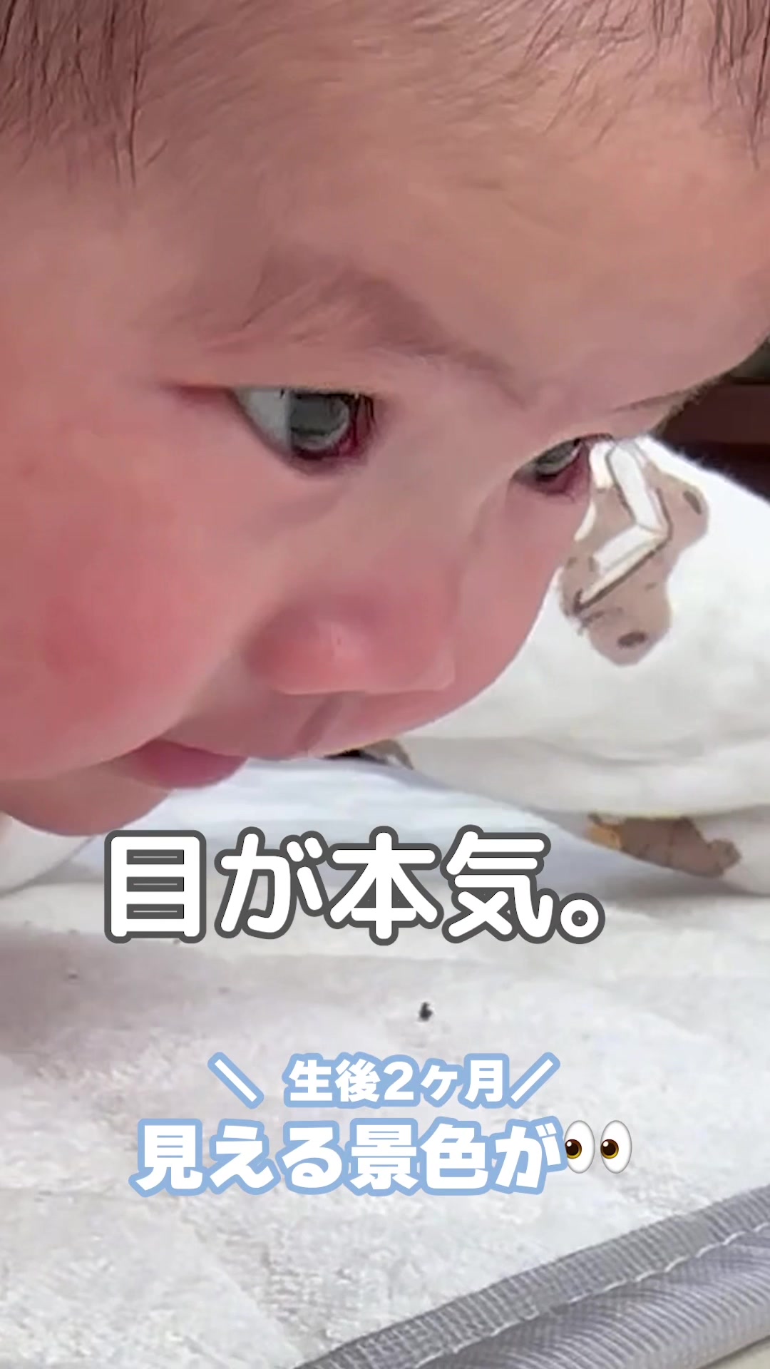 @こっちゃん|はじめて育児