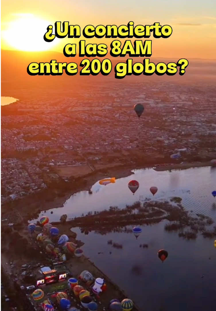 @danasofi26