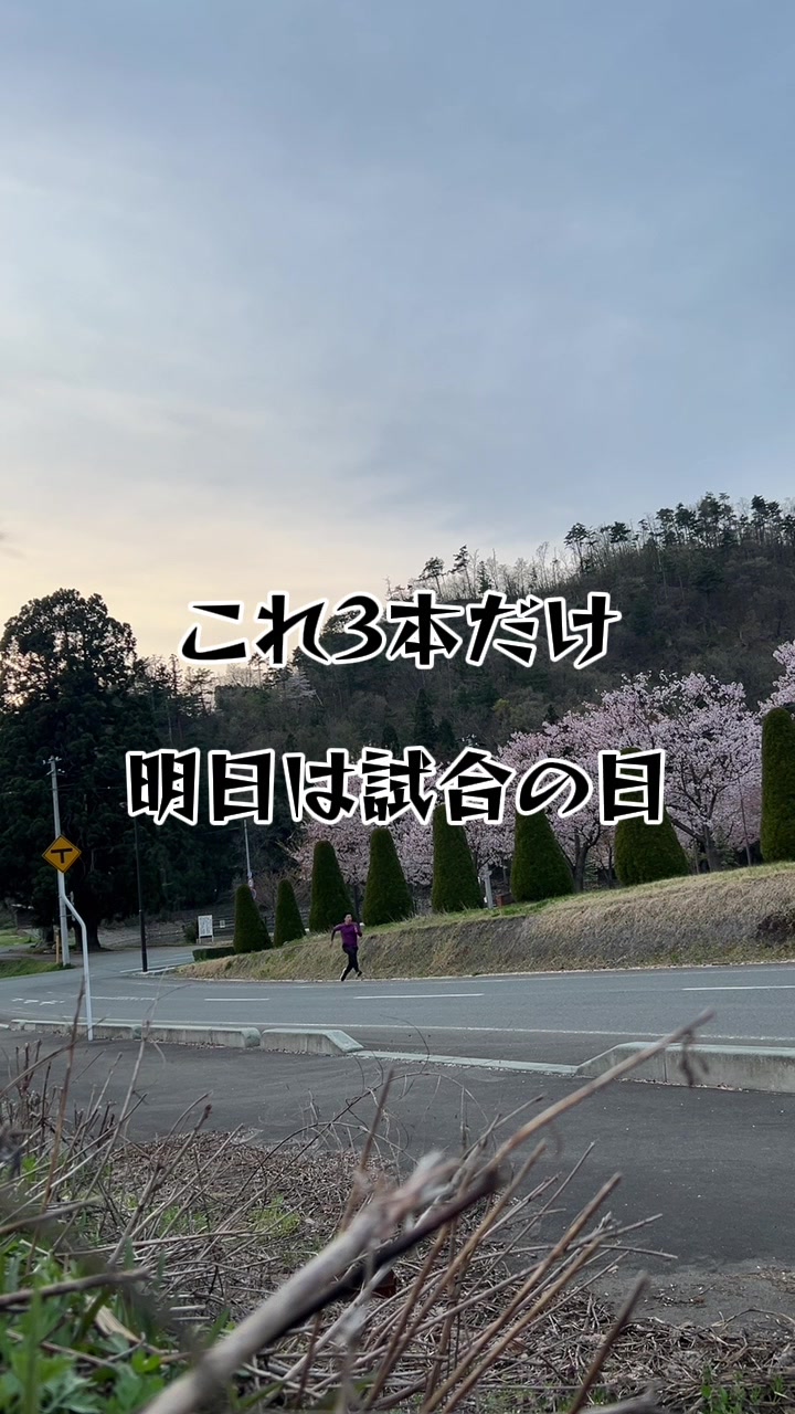 @イッヌ(棒高跳日本選手権目指す人)