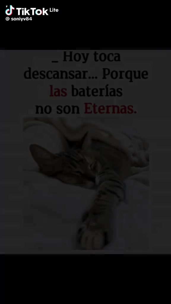@jose luis