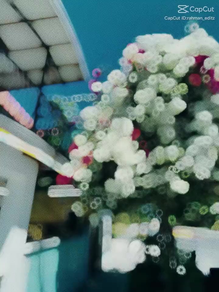@Sahera Khatun