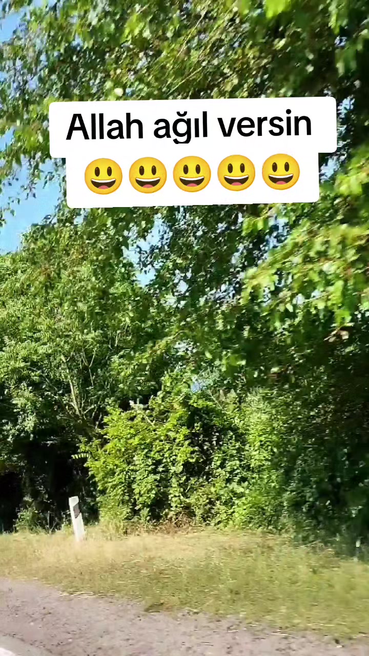 @nargzibrahimova