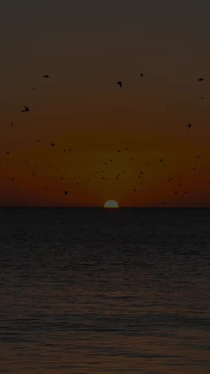 @chillsongs18