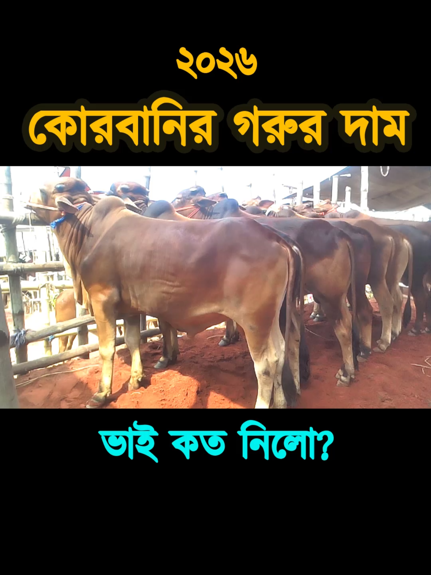 @Nayeem Islam