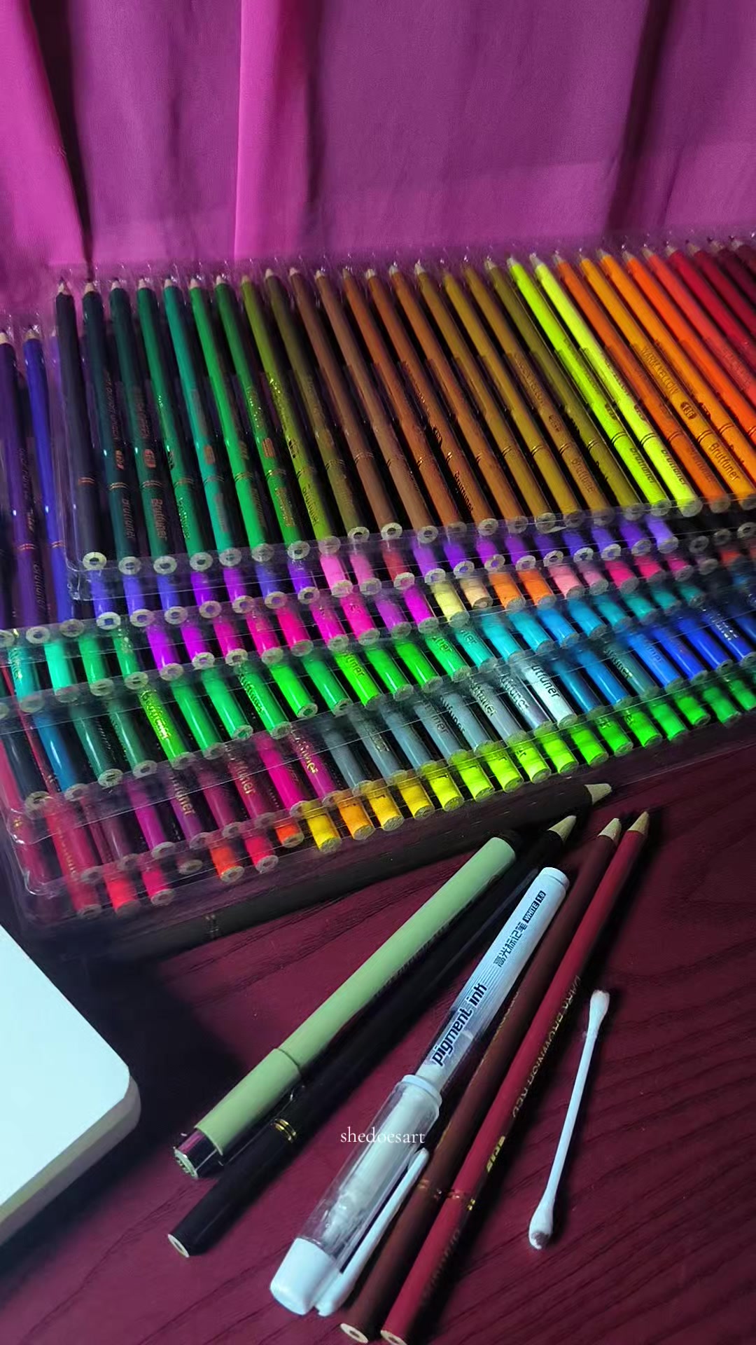 @SheDoes_Art✍️