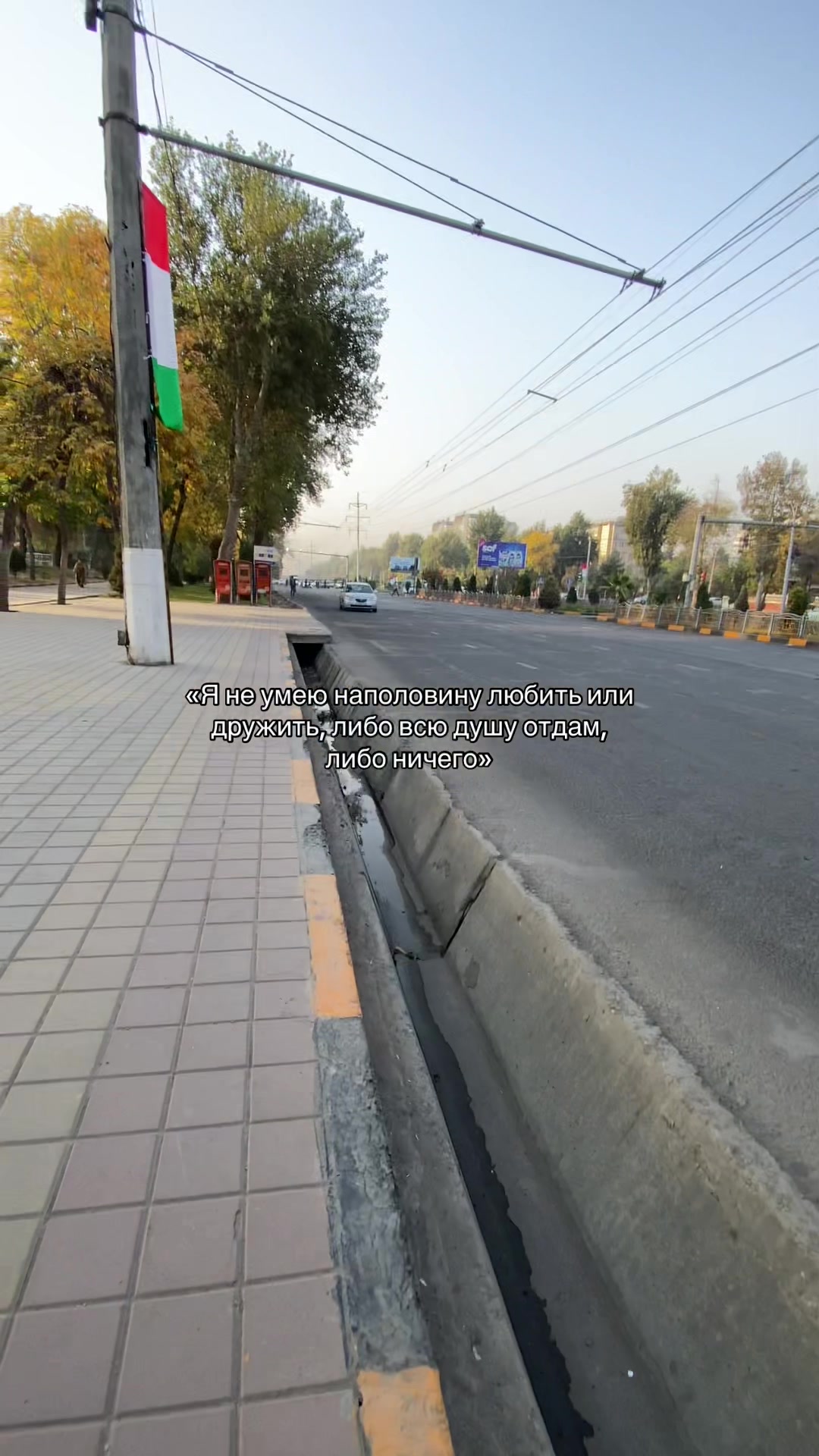 @Дарвешов 🏌️
