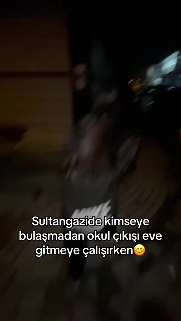 @Pıtırcıklar🐣