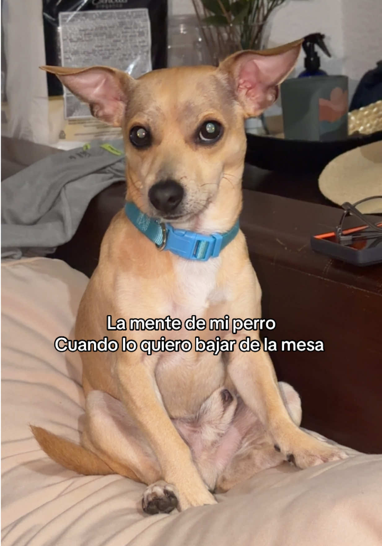 @Rosemary Arauz