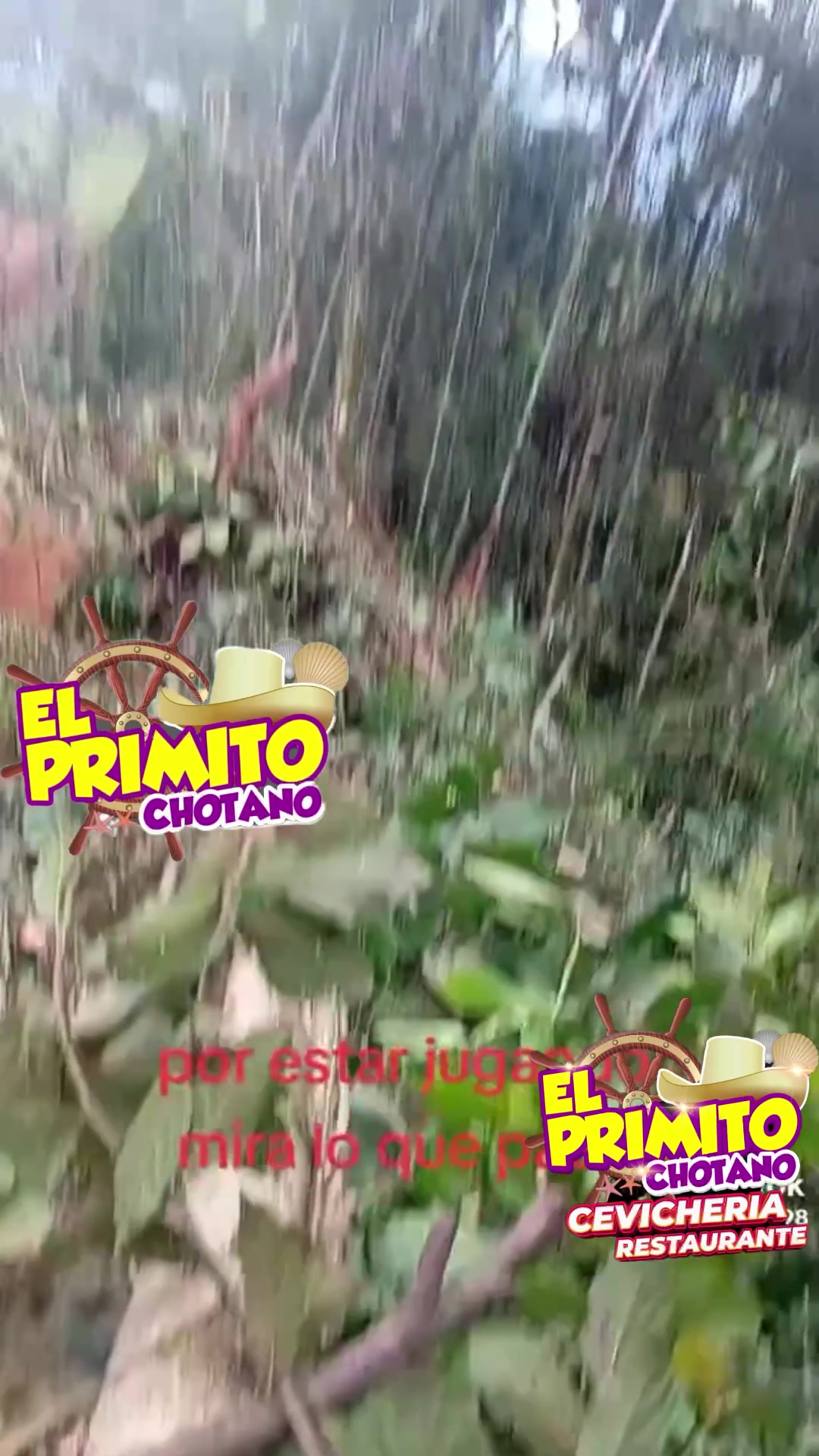 @El primito chotano