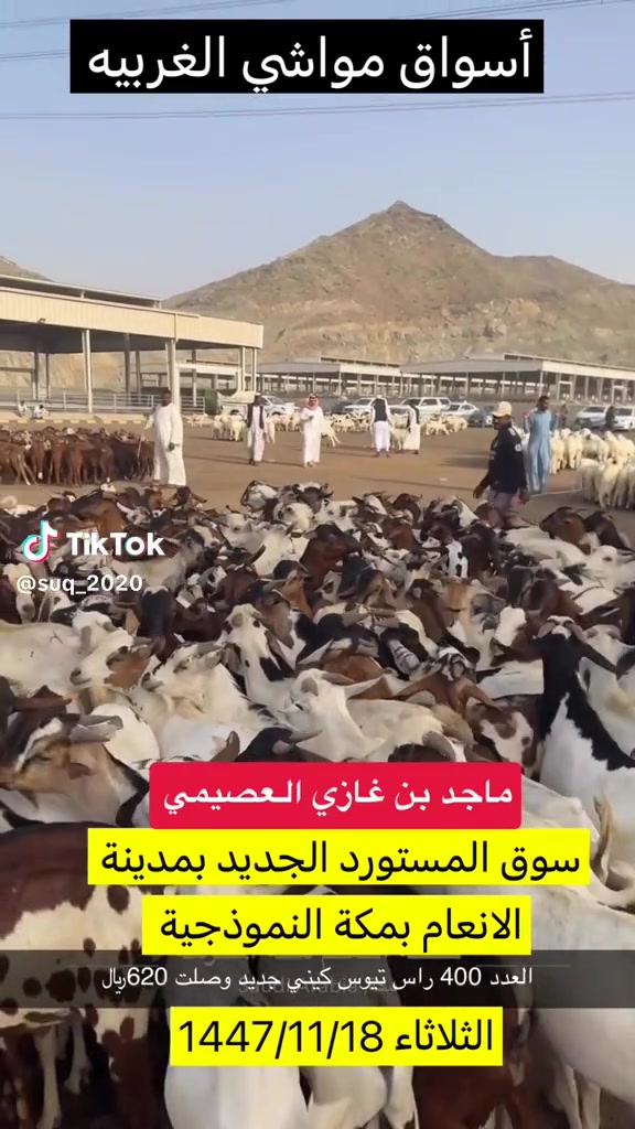 @mohamed_ksa0