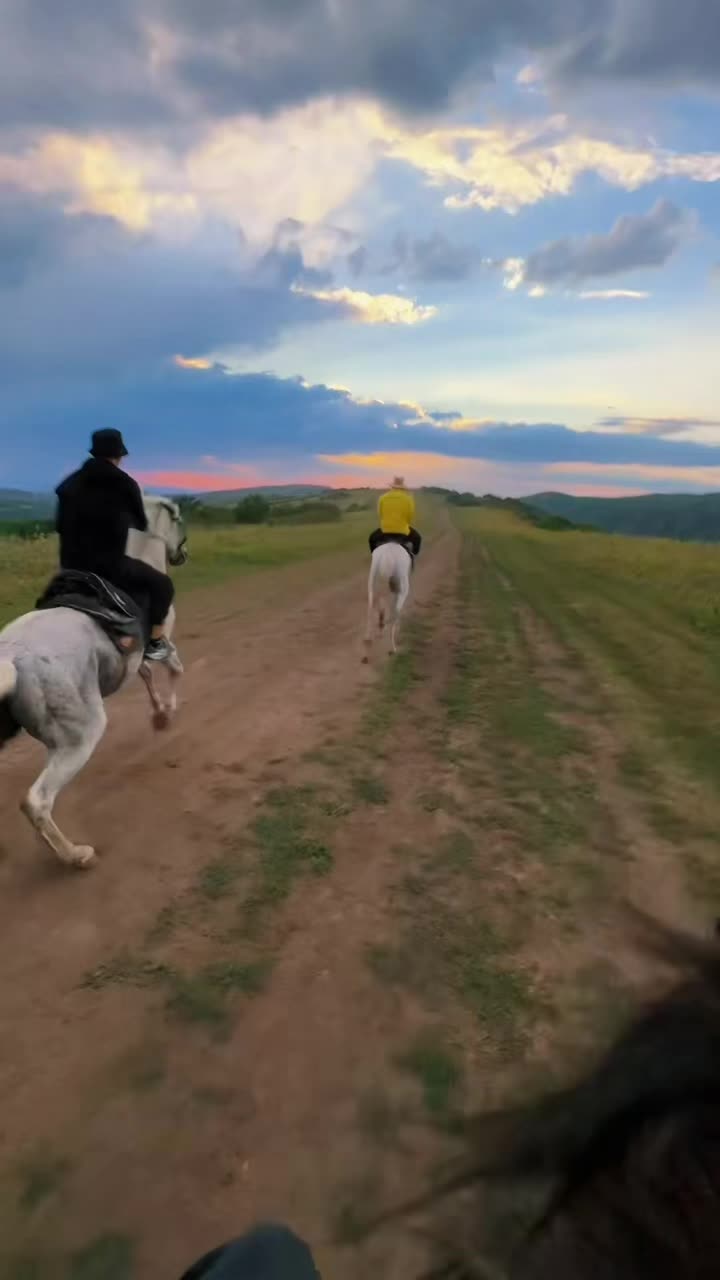 @tulpar_horses