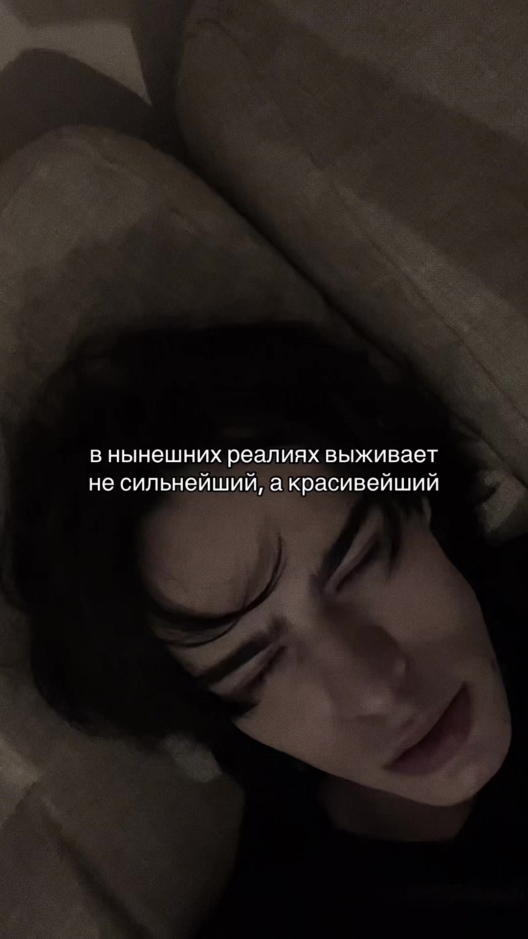 @тгк: kenshi