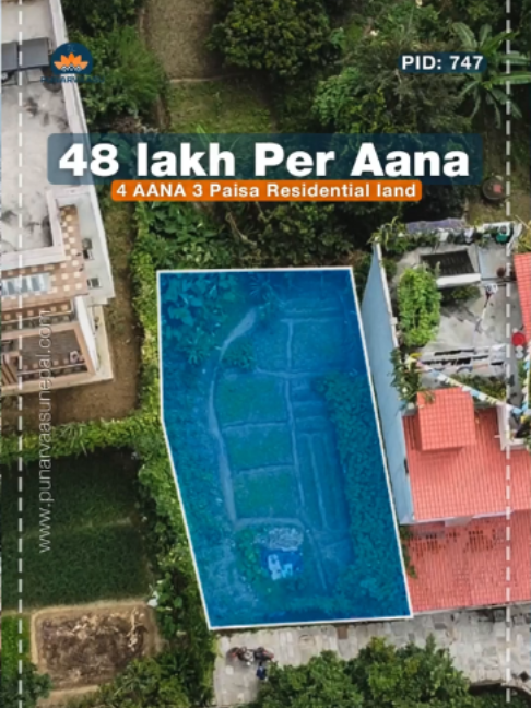 @Punarvaasu Real Estate