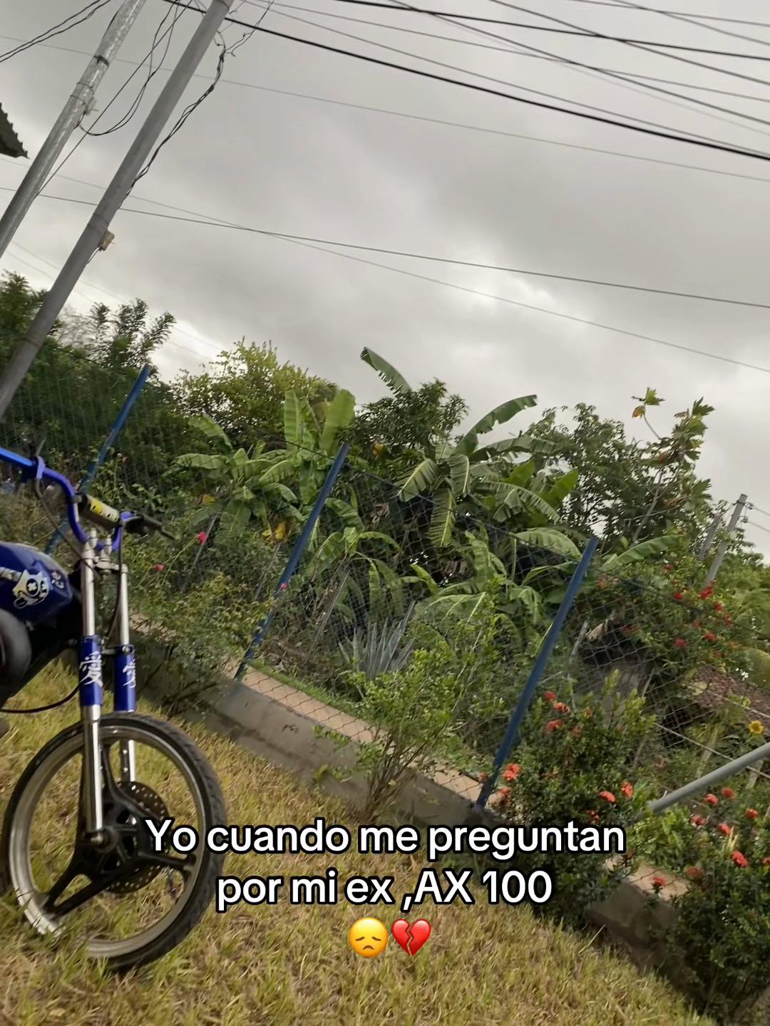 @Nelson๐