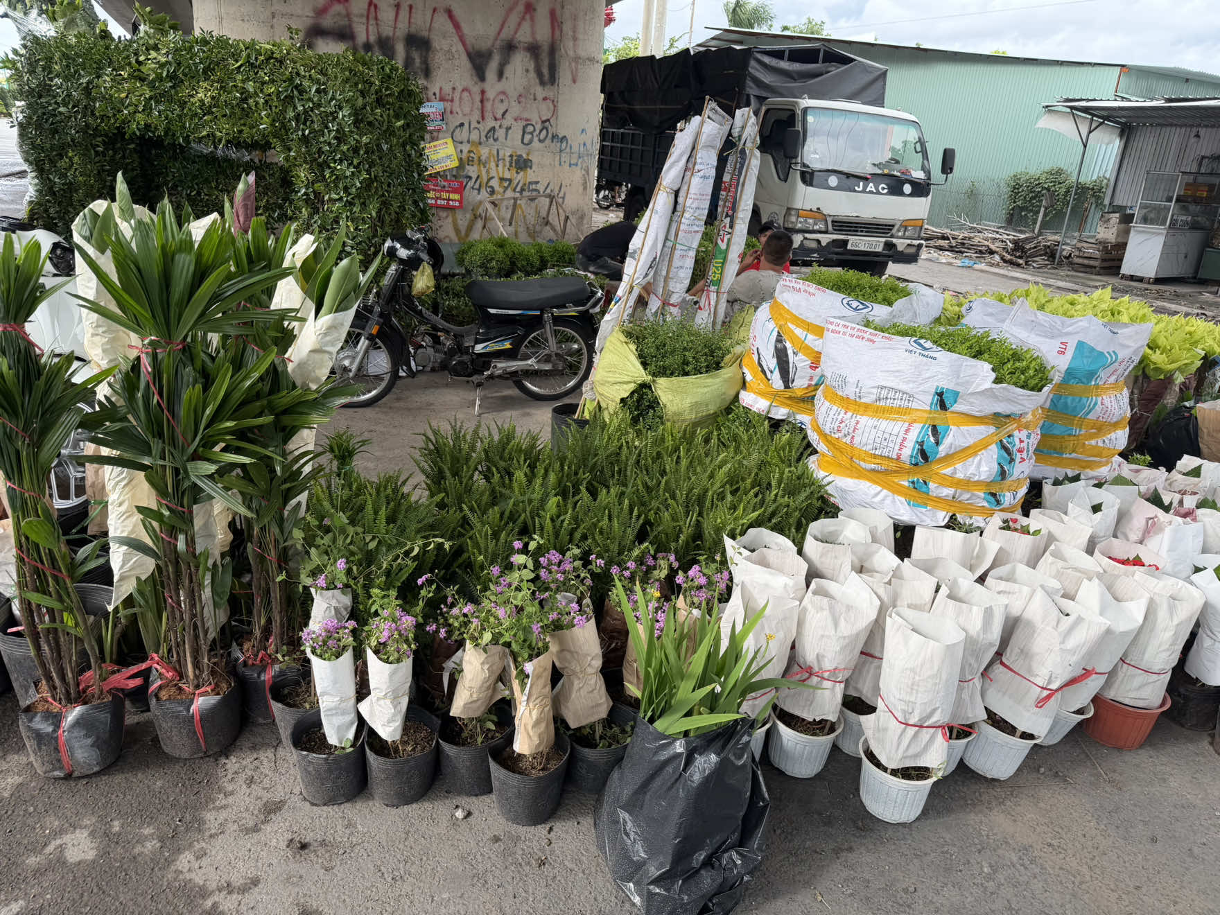 @Tiệm Lá Nhỏ