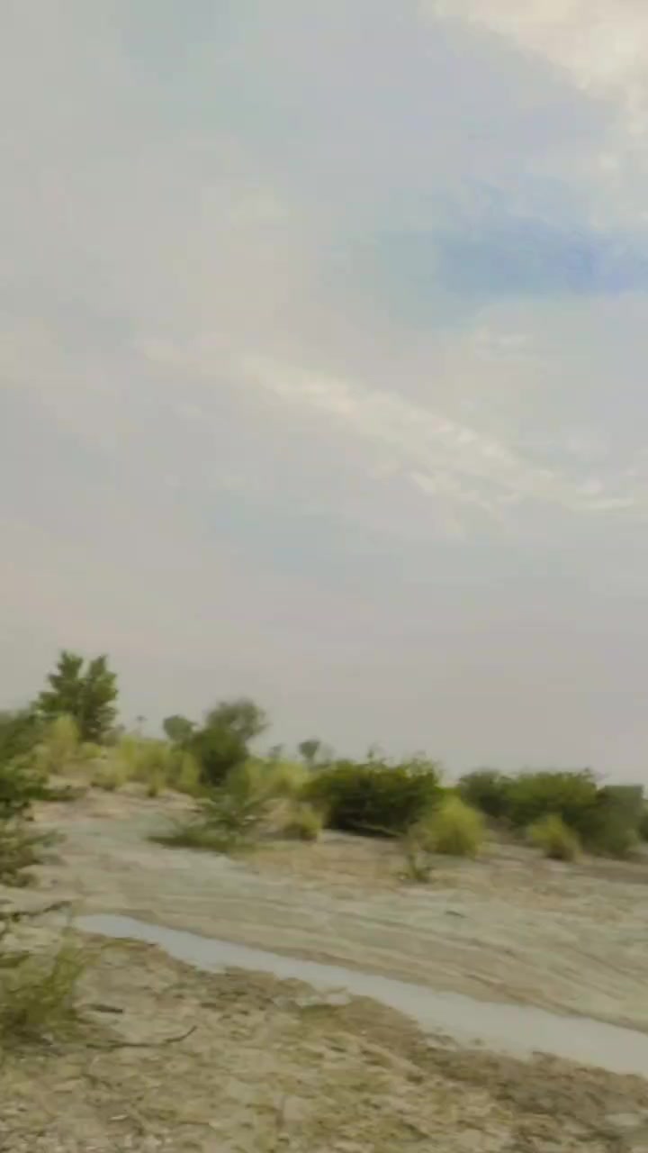 @danigulli