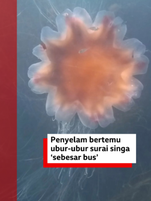 @bbcnewsindonesia