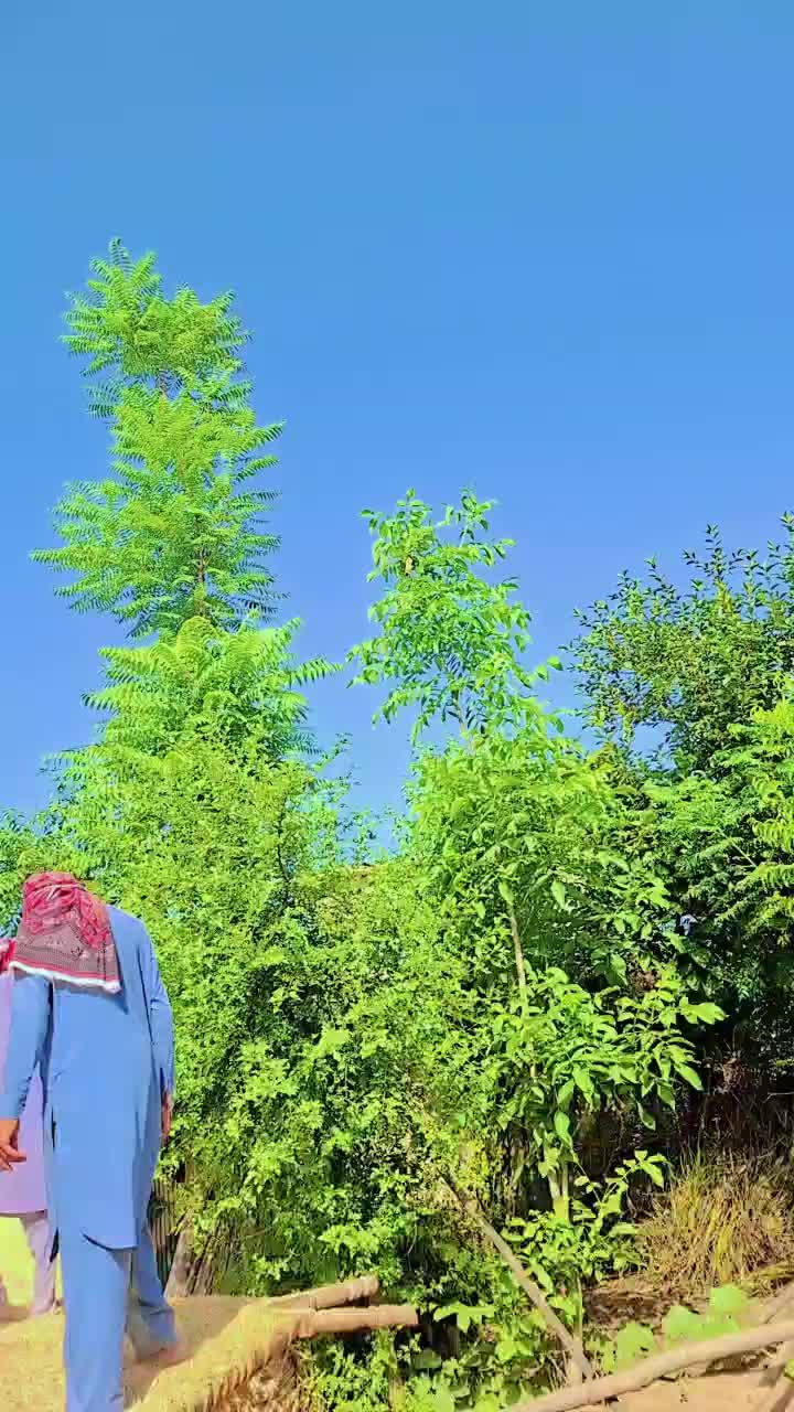 @👉🦋WAQAS🦋👑👈