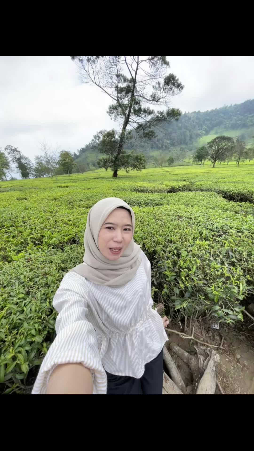 @ig : arsta.af
