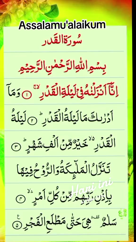 @nurdin_pahsa
