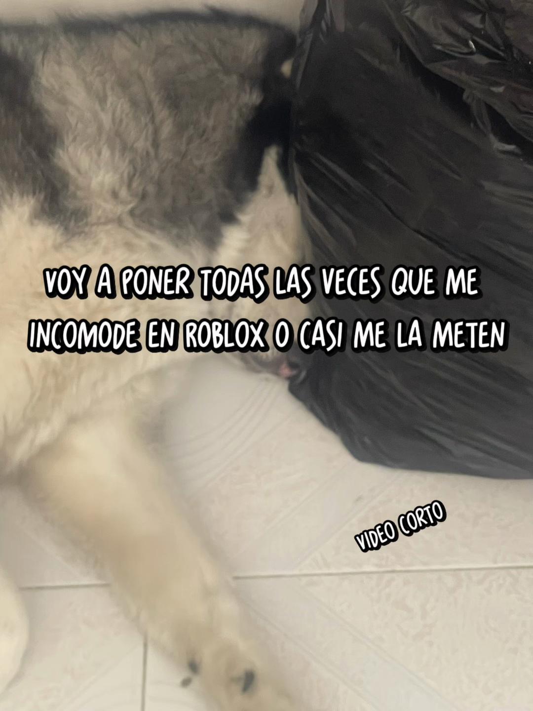 @🇲🇽~totalbananavr~🇲🇽