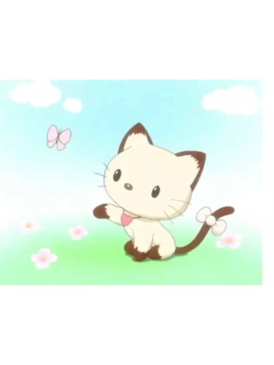 @₍ᐢ⑅•ᴗ•⑅ᐢ₎♡