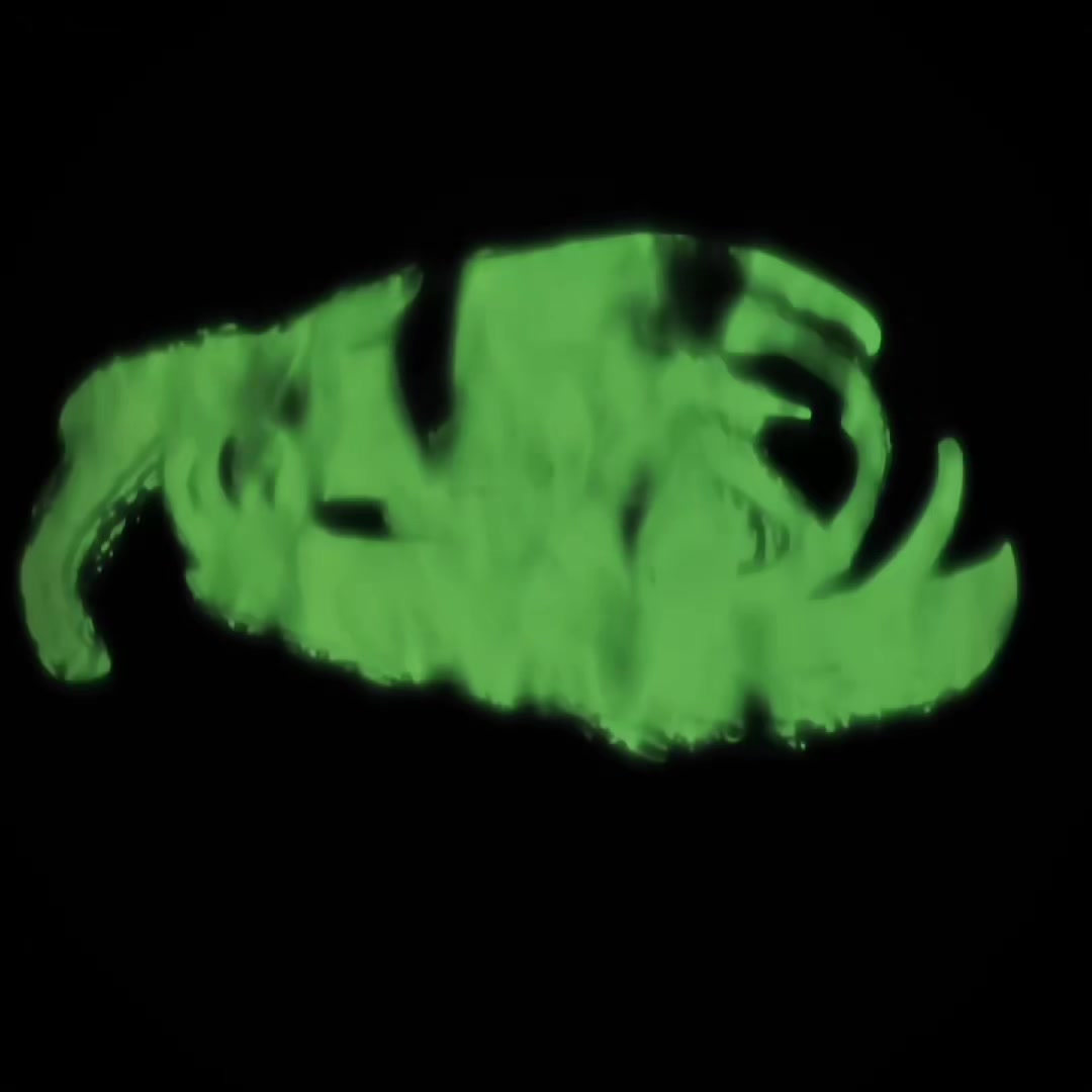 @𝓫𝓲𝓷𝓮𝓻𝓮𝓭𝓲𝓽𝓼