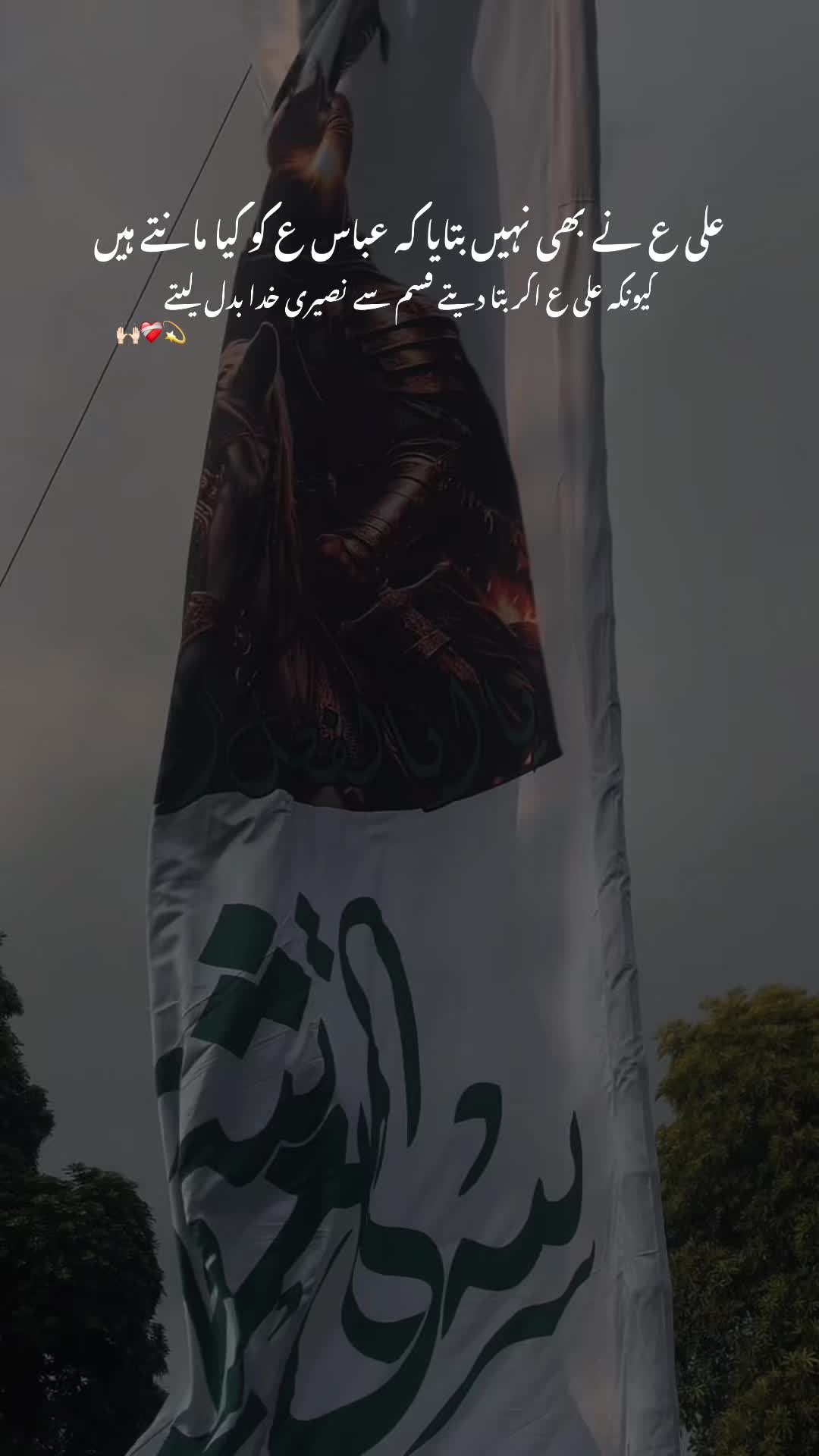 @کنزہ حیدری🖤