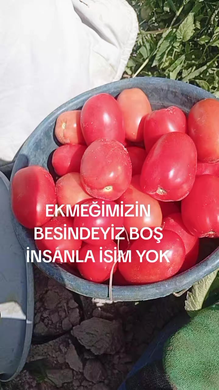 @motorcukız4242