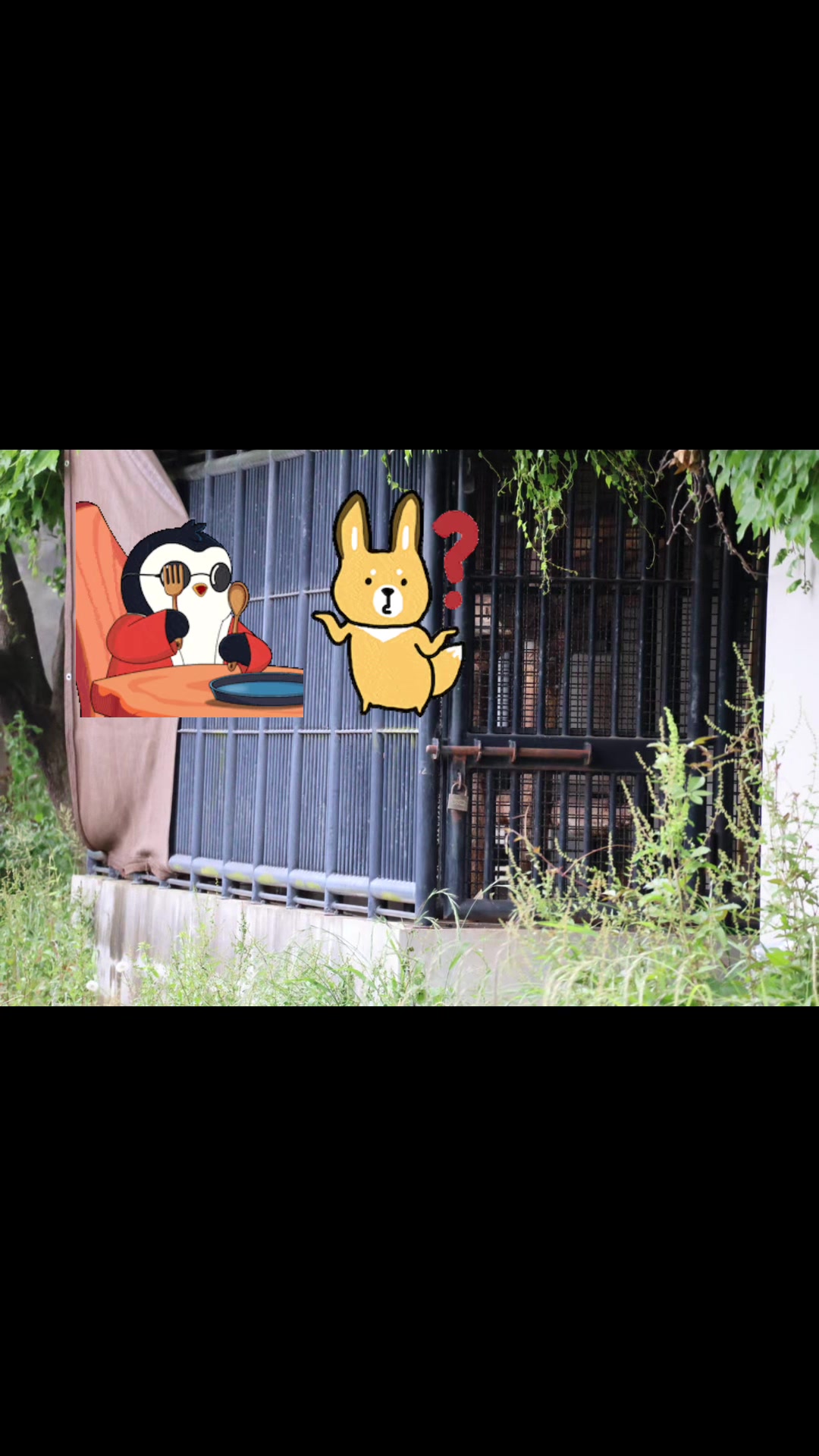 @✨パンチ🐵PUNCH👊✨