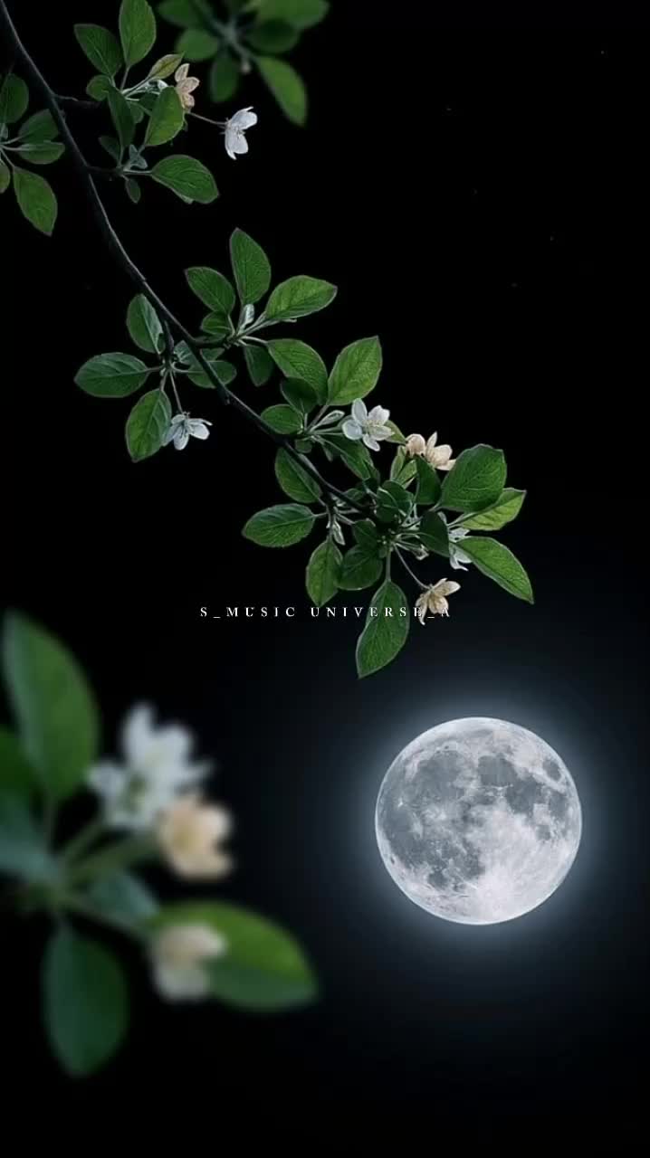 @&hearts;𝙈𝙐𝙎𝙄𝘾 𝙐𝙉𝙄𝙑𝙀𝙍𝙎𝙀&hearts;