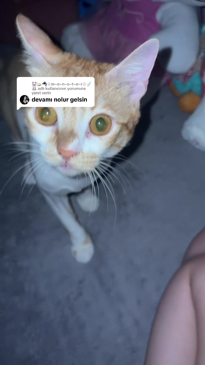 @𝐣𝐞𝐬𝐬𝐢🔮