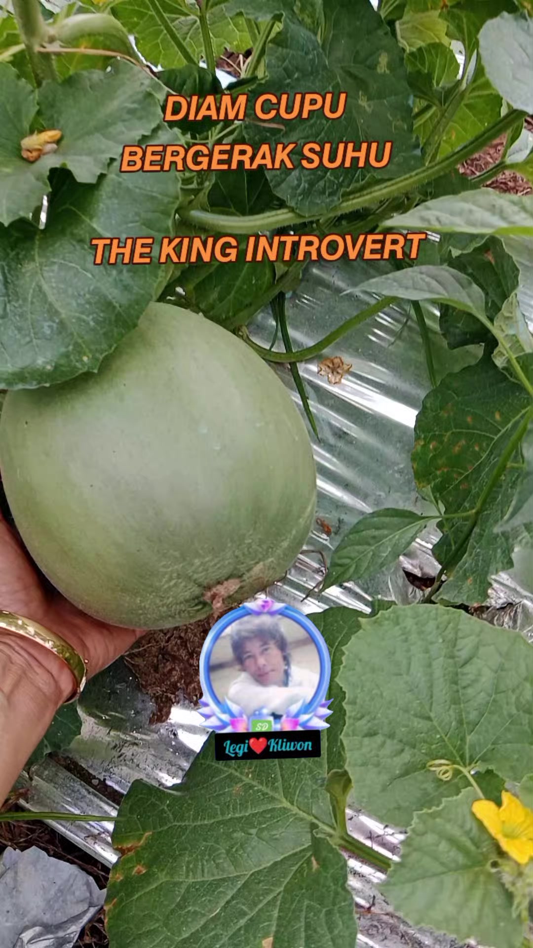 @DwiLingling