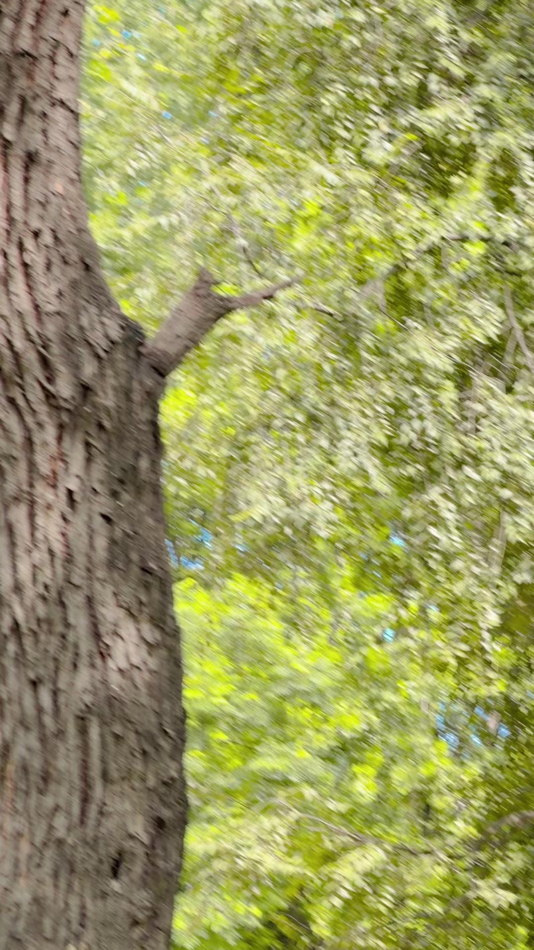 @🧸𝐷𝑖𝑚𝑝𝑙𝑒 🧿