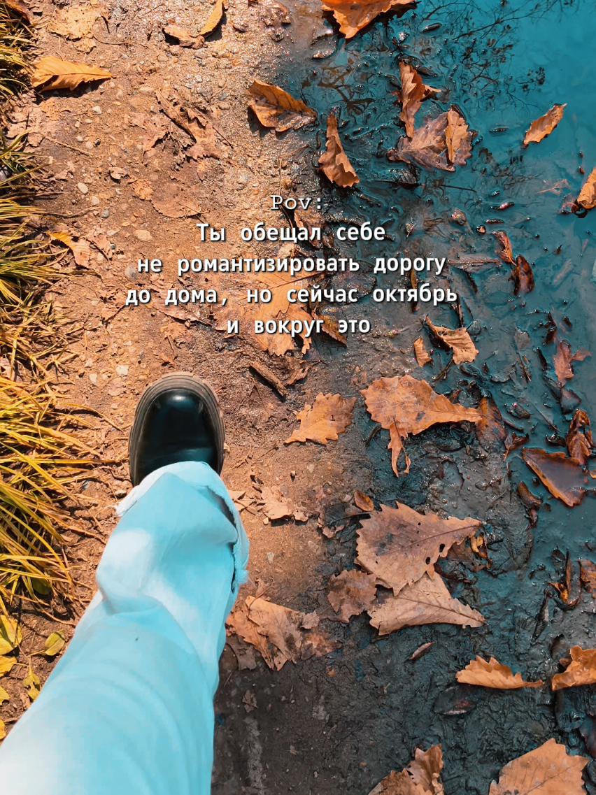 @ЛИЗОБАКТ