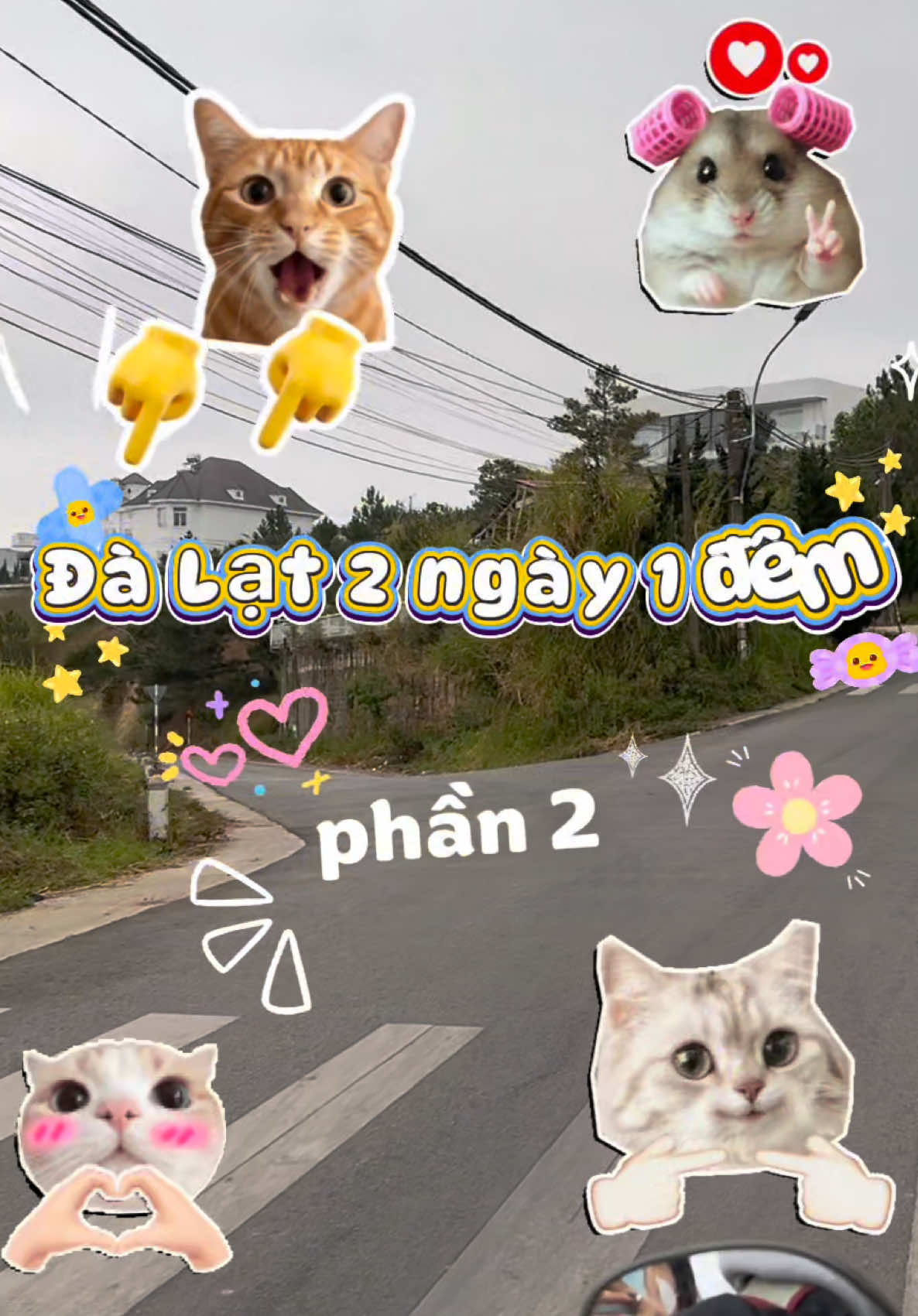 @quynhhnhu