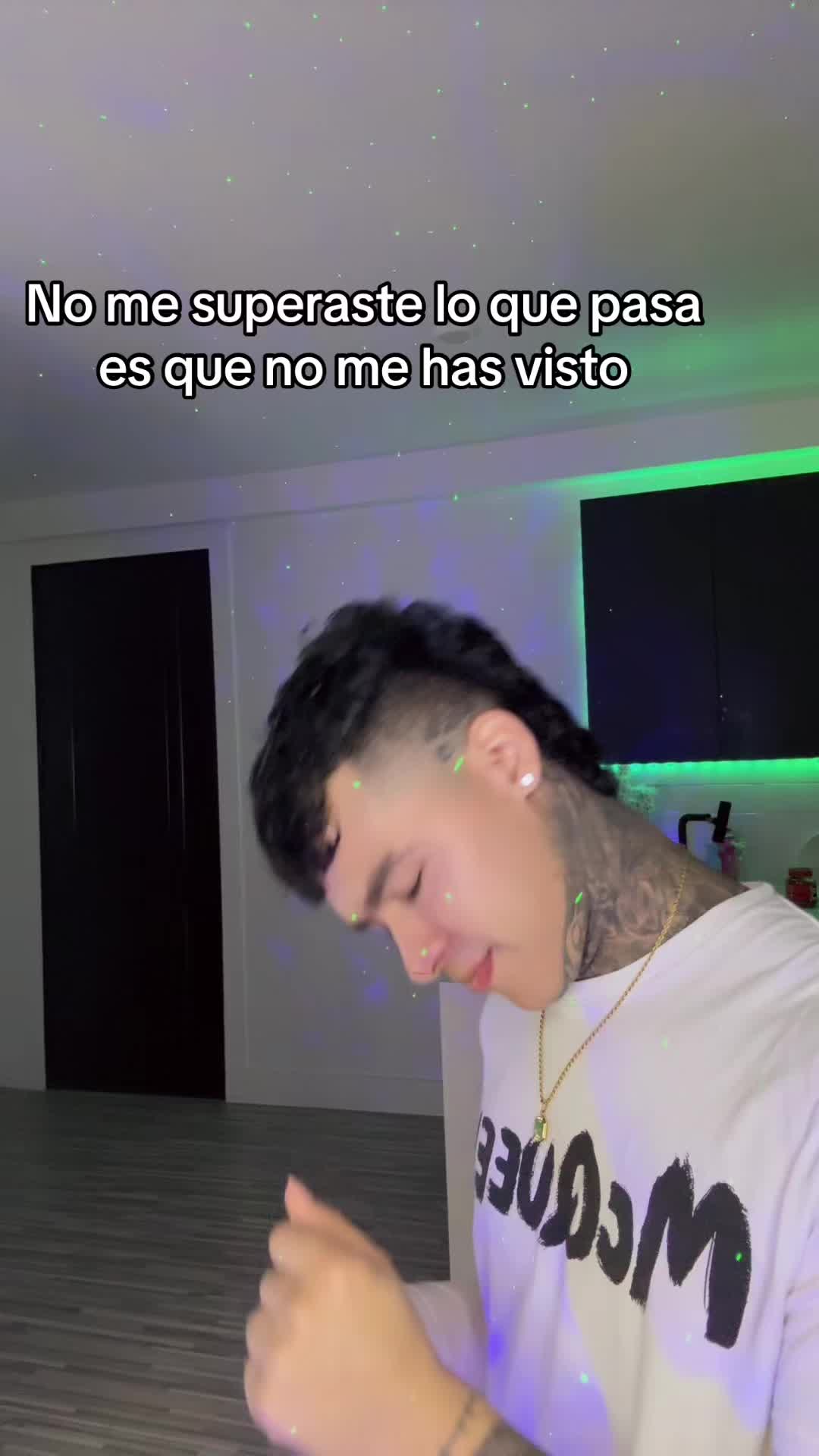 @palomino🦁