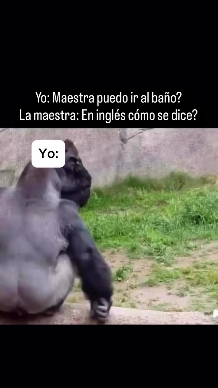 @▸