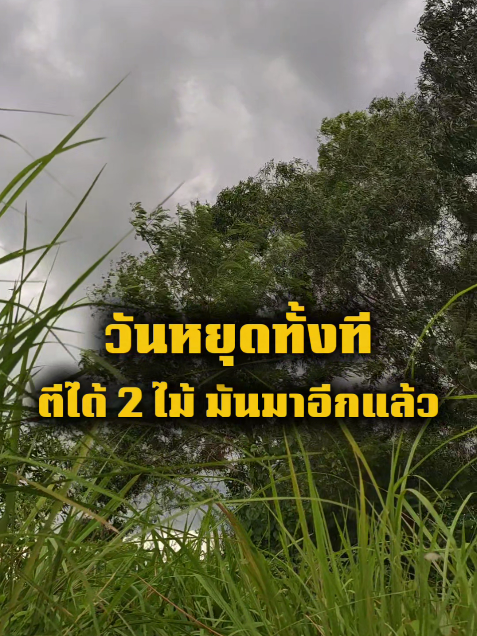 @กาเล็บโป้