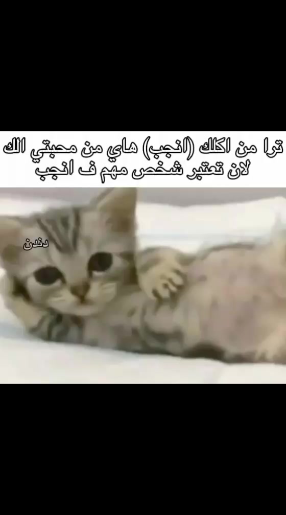 @دندن