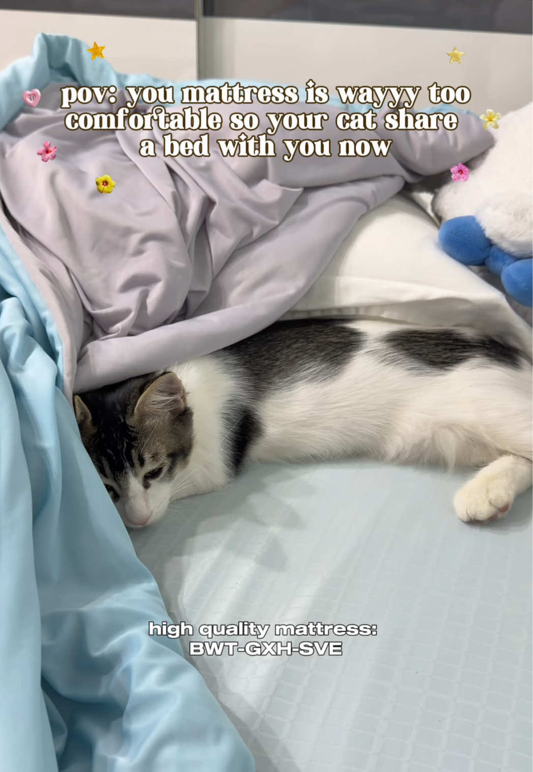 @๐ ๐ฐ๐๐ง ๐๐หโ
