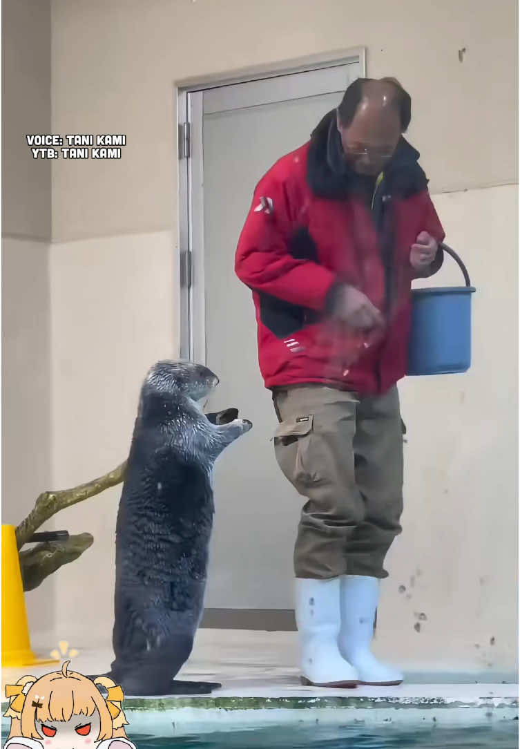 @Tani Kami 🐹
