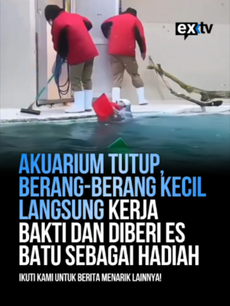 @Expressi Media