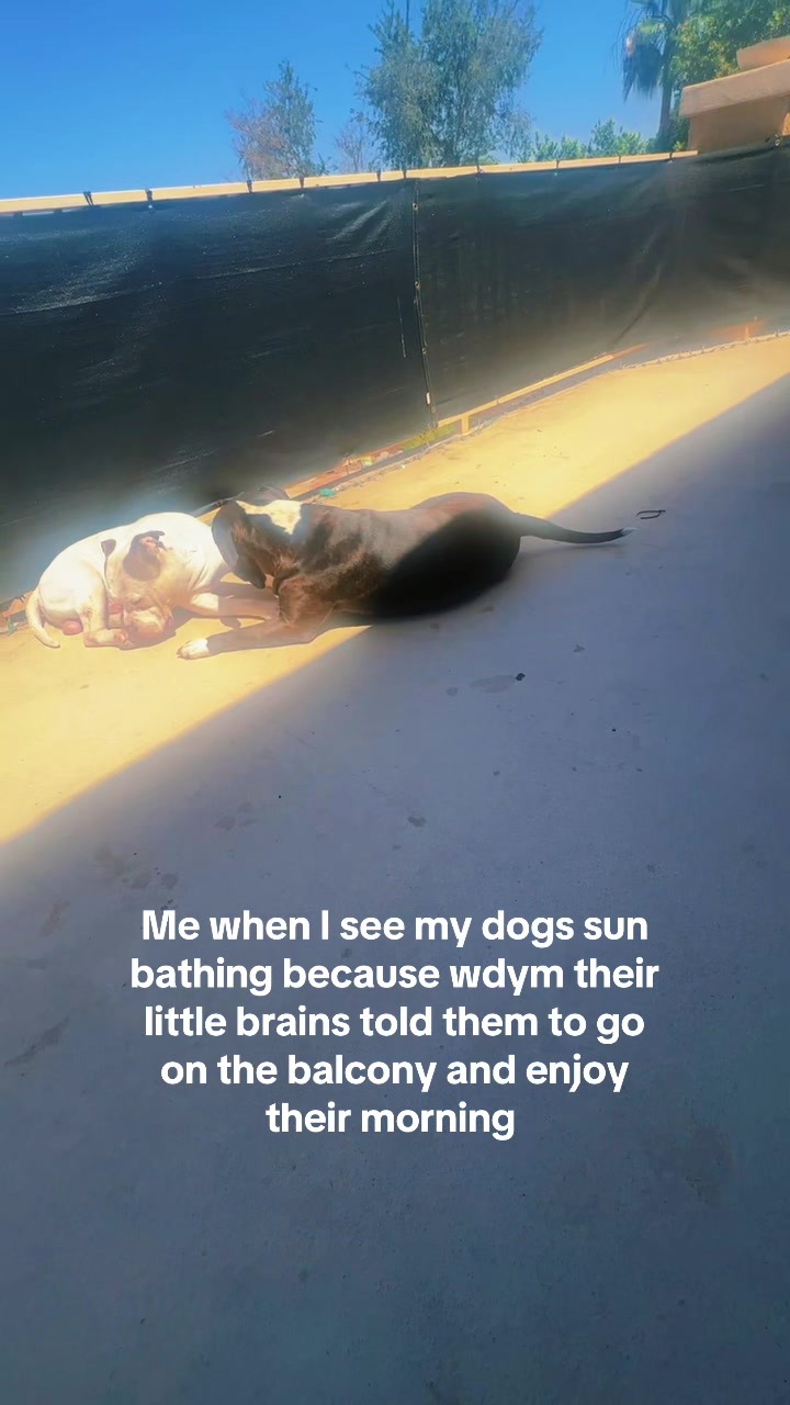 @Groovy.Melissa