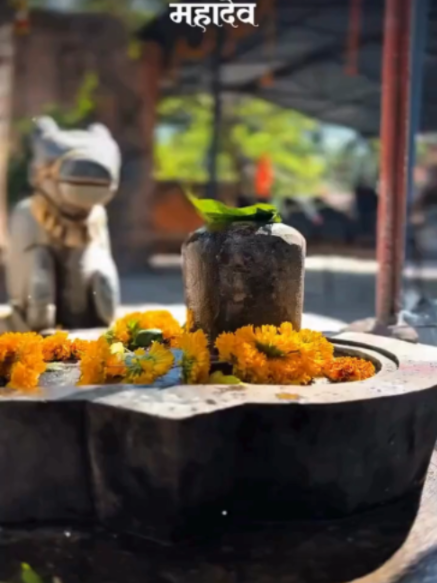 @➳🧡शिवभक्त 🚩🥀꧂