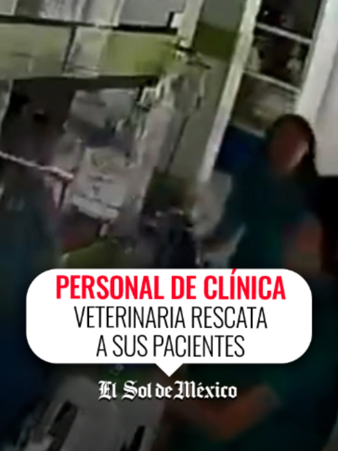 @Noticias OEM