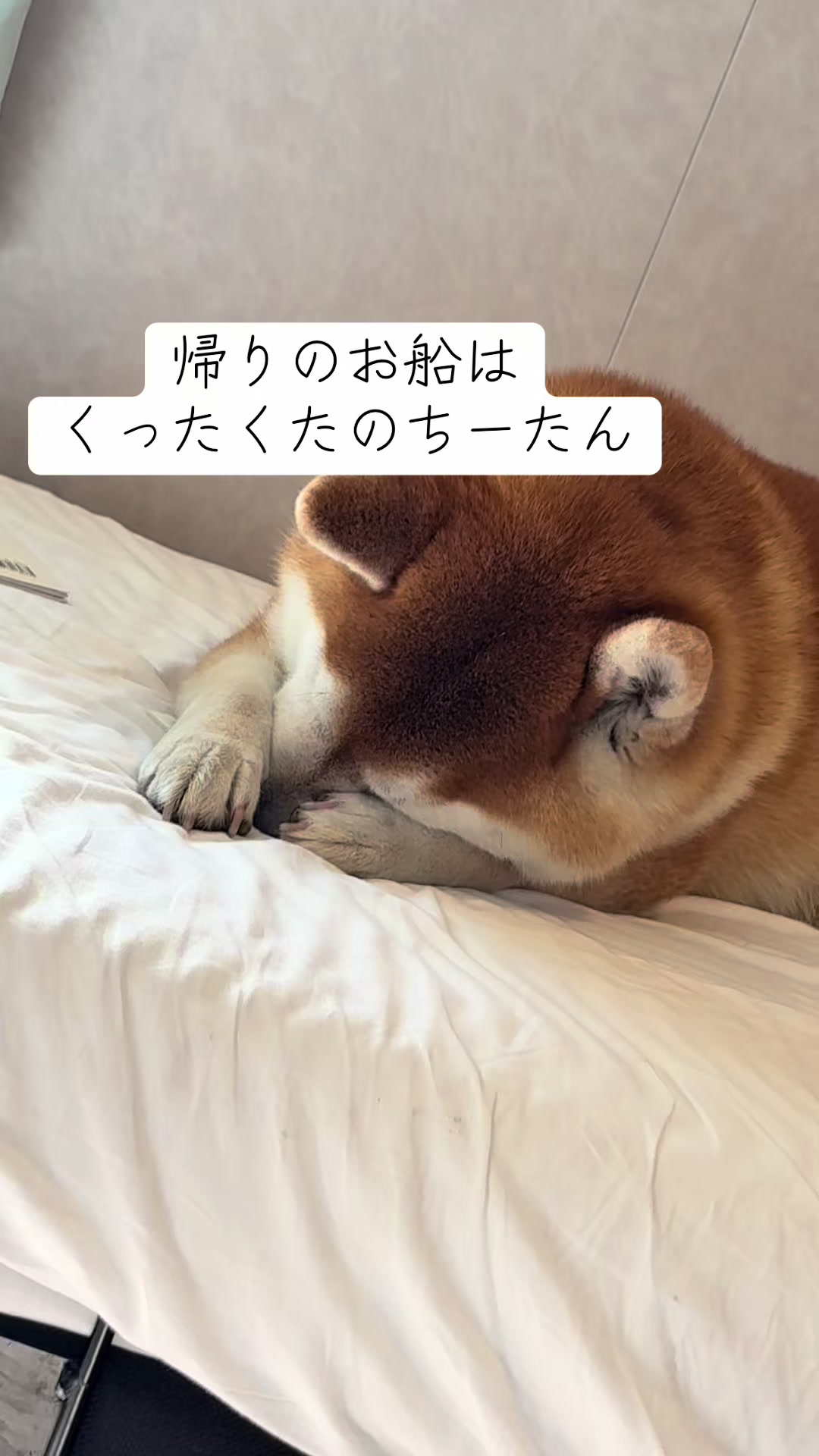 @nana0209 🪽🥴